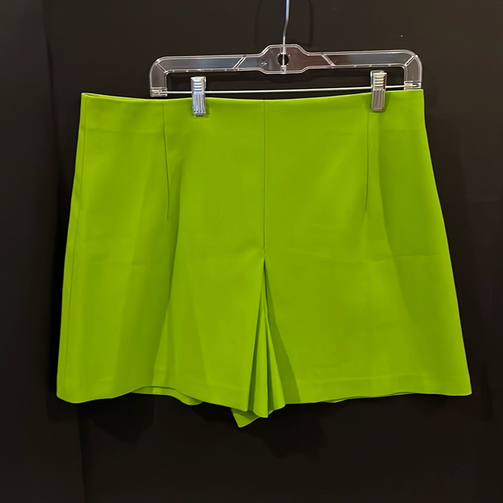 Zara shorts